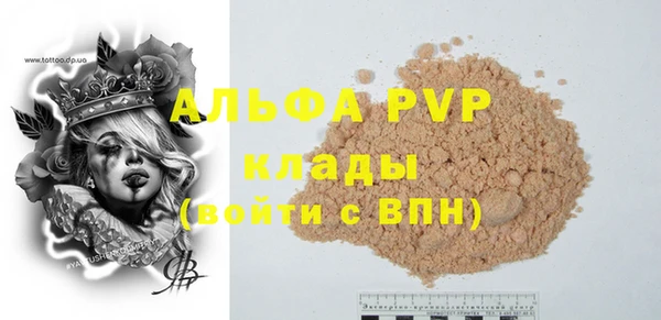 хмурый Аркадак