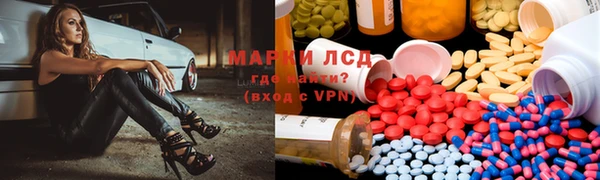 хмурый Аркадак