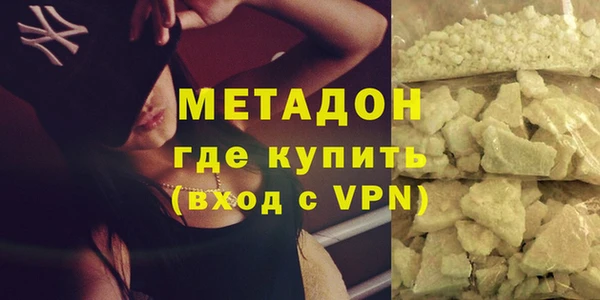 хмурый Аркадак
