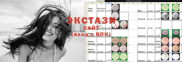 хмурый Аркадак