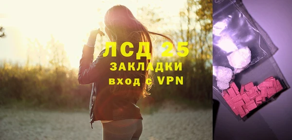 хмурый Аркадак