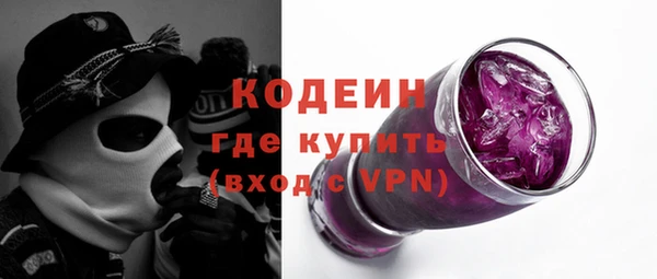 хмурый Аркадак