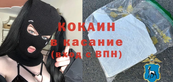хмурый Аркадак