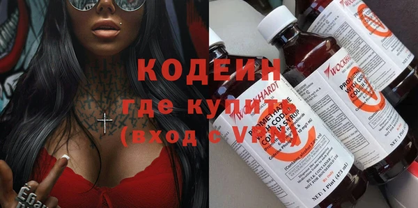 хмурый Аркадак