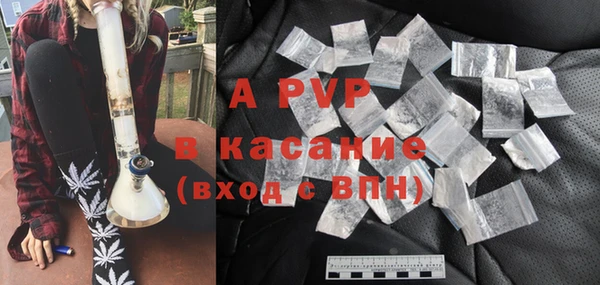 хмурый Аркадак