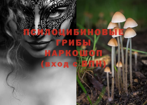 дмт Армянск