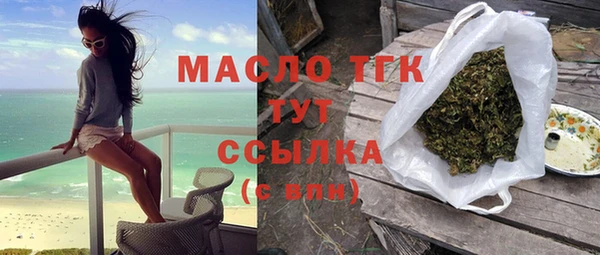 хмурый Аркадак