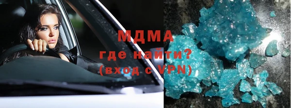 хмурый Аркадак