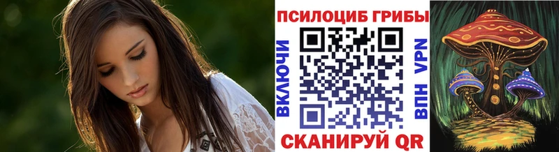 мега ссылка  Далматово  Псилоцибиновые грибы ЛСД  наркота 